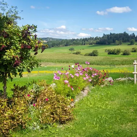 Charmante Maison Avec Jardin à Saint-pal-de-chalencon Hébergement de vacances *
